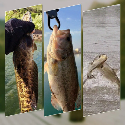 3D Floating Fishing Bait Set with 3 Hooks